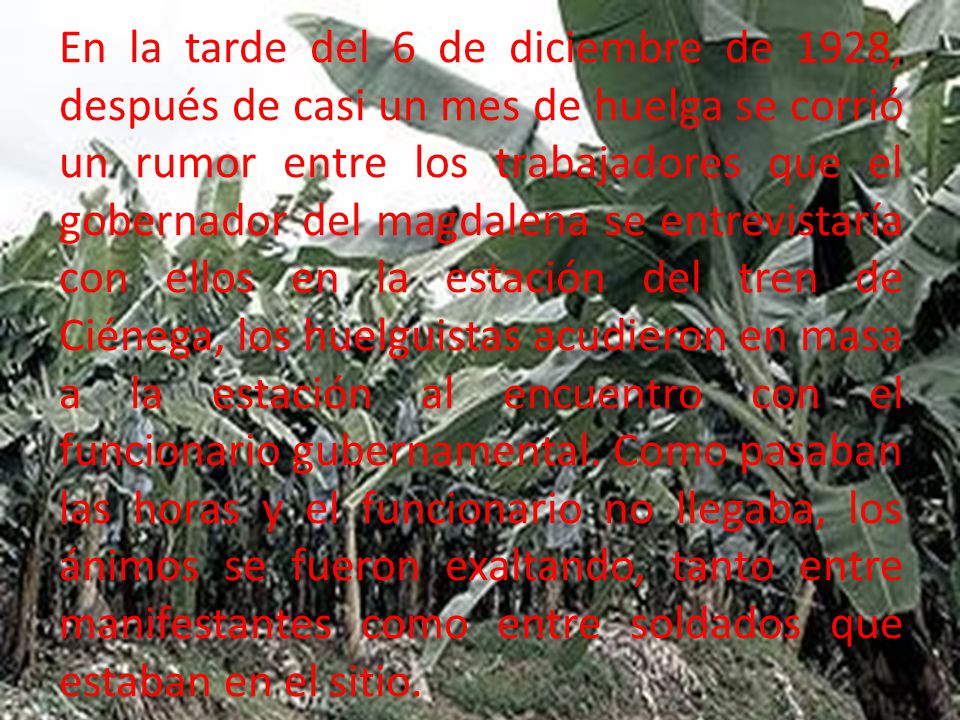 En la tarde del 6 de diciembre de 1928, después de casi un mes de huelga se corrió un rumor entre los trabajadores que el gobernador del magdalena se entrevistaría con ellos en la estación del tren de Ciénega, los huelguistas acudieron en masa a la estación al encuentro con el funcionario gubernamental.