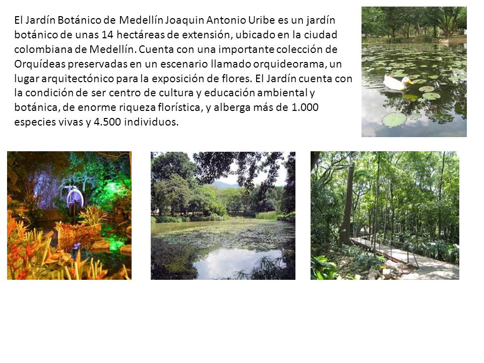 El Jardín Botánico de Medellín Joaquin Antonio Uribe es un jardín botánico de unas 14 hectáreas de extensión, ubicado en la ciudad colombiana de Medellín.