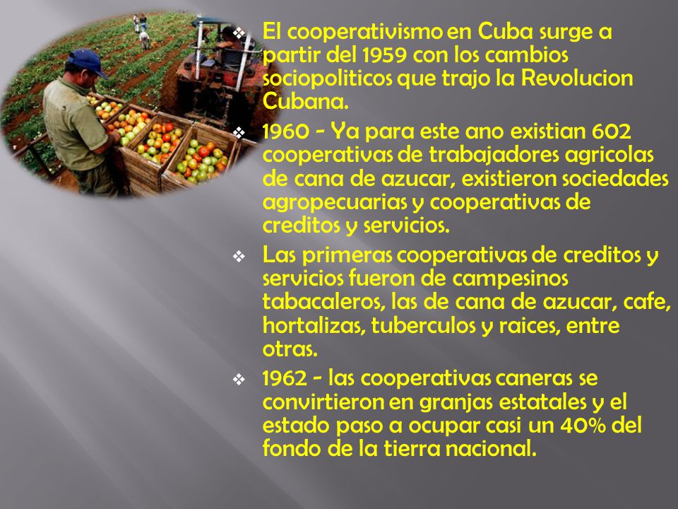 El cooperativismo en Cuba surge a partir del 1959 con los cambios sociopoliticos que trajo la Revolucion Cubana.