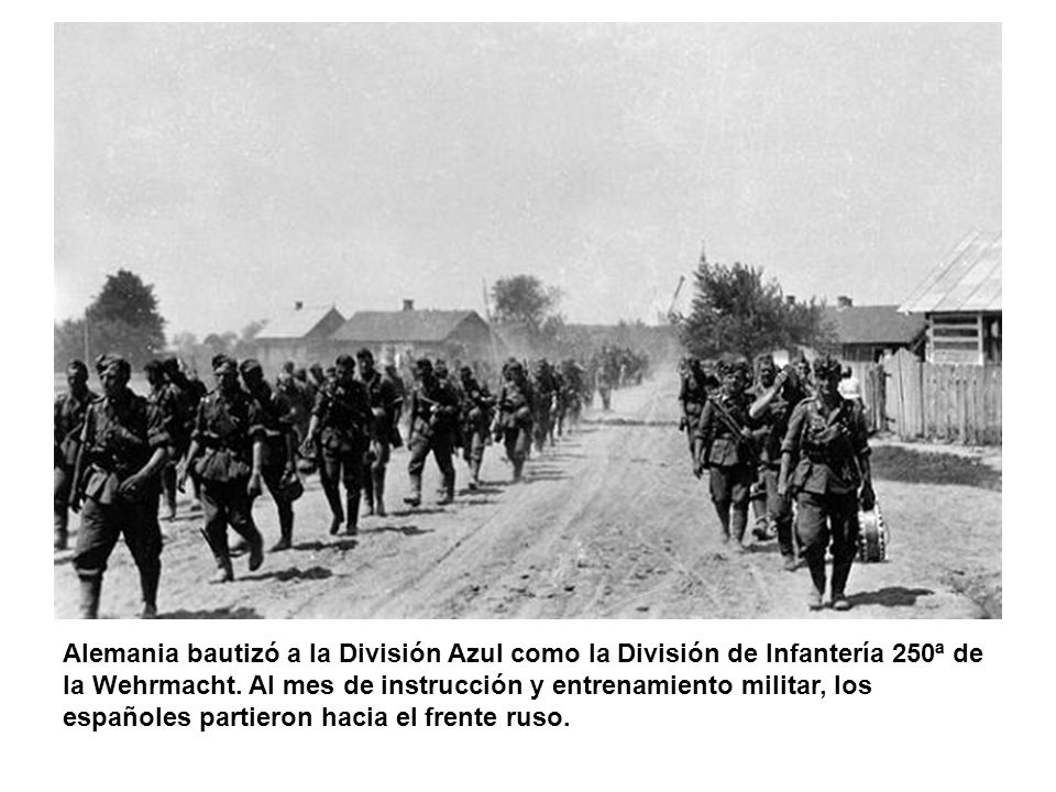 Alemania bautizó a la División Azul como la División de Infantería 250ª de la Wehrmacht.