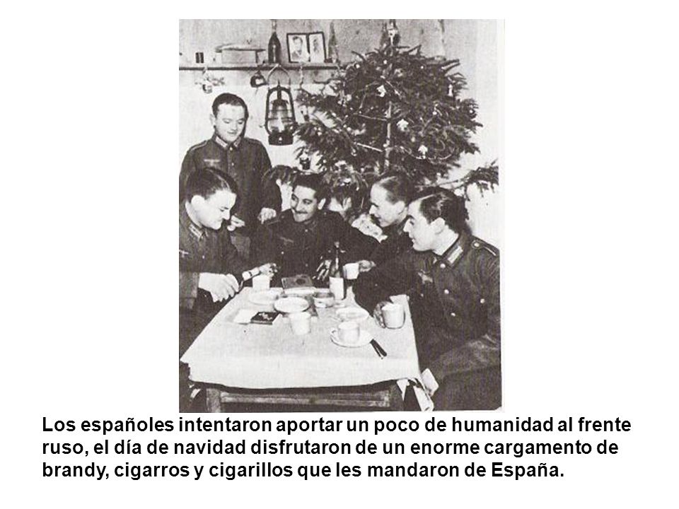 Los españoles intentaron aportar un poco de humanidad al frente ruso, el día de navidad disfrutaron de un enorme cargamento de brandy, cigarros y cigarillos que les mandaron de España.