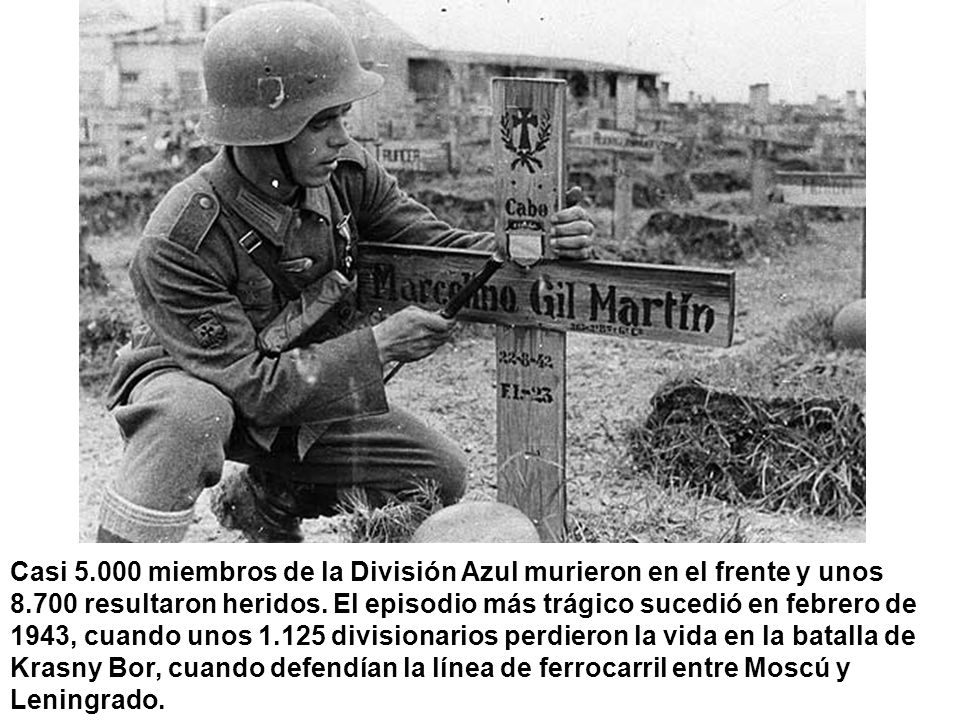 Casi miembros de la División Azul murieron en el frente y unos resultaron heridos.