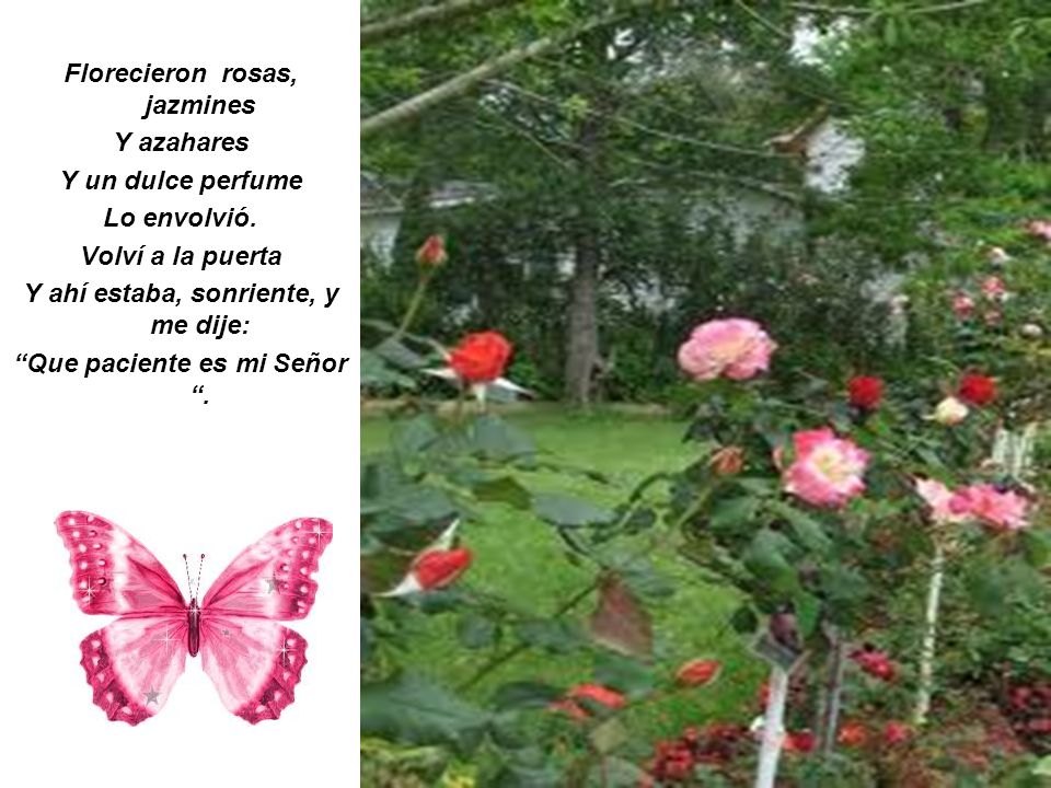 Florecieron rosas, jazmines Y azahares Y un dulce perfume Lo envolvió.