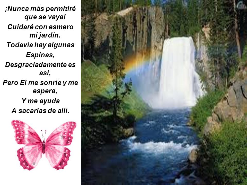 ¡Nunca más permitiré que se vaya! Cuidaré con esmero mi jardín.