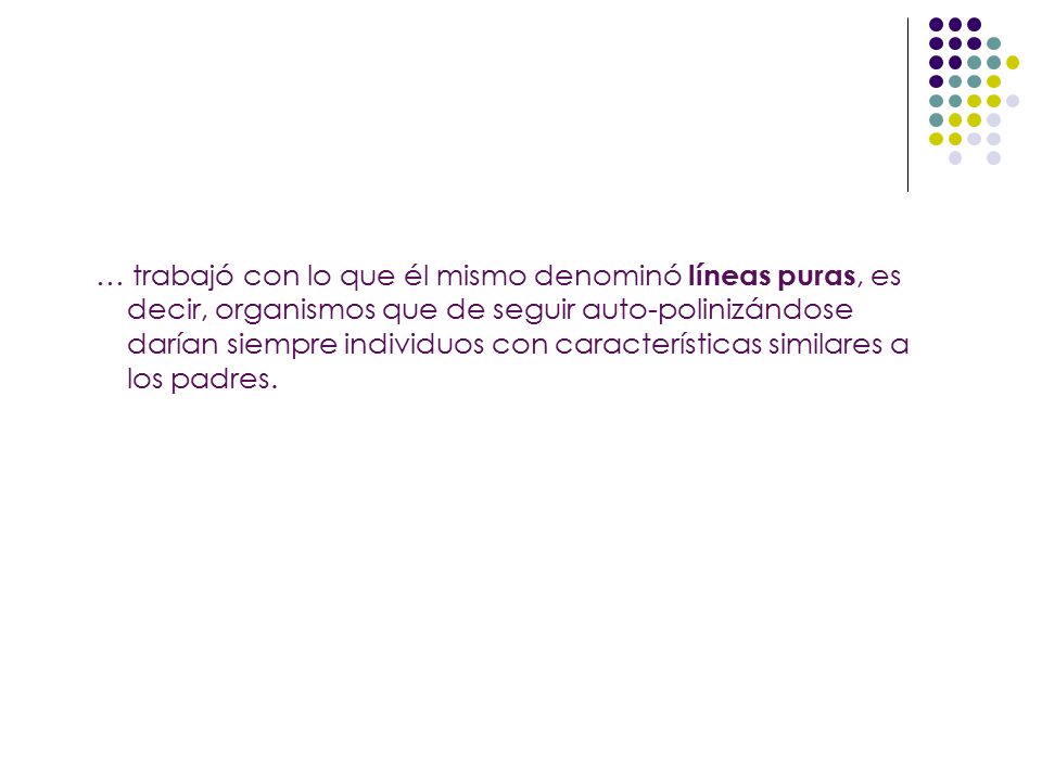 … trabajó con lo que él mismo denominó líneas puras, es decir, organismos que de seguir auto-polinizándose darían siempre individuos con características similares a los padres.