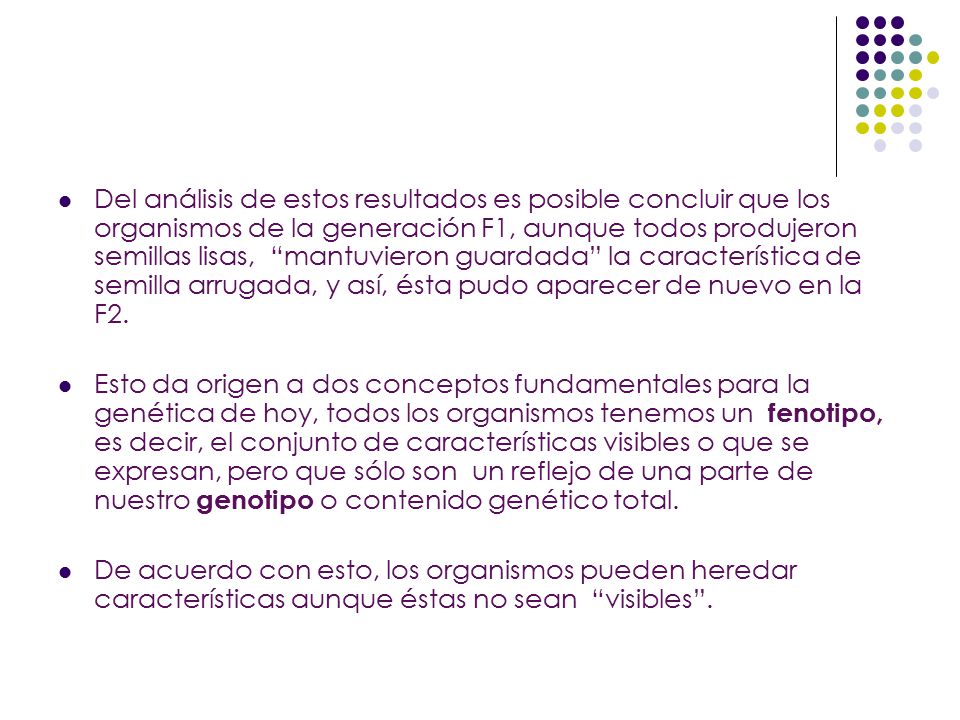 Del análisis de estos resultados es posible concluir que los organismos de la generación F1, aunque todos produjeron semillas lisas, mantuvieron guardada la característica de semilla arrugada, y así, ésta pudo aparecer de nuevo en la F2.