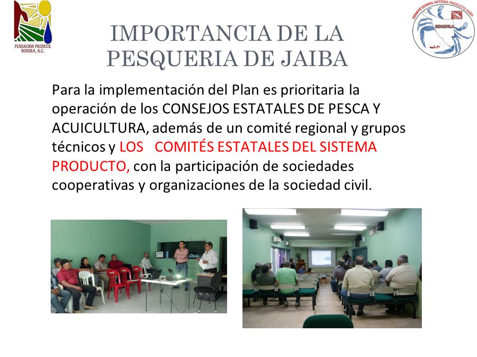 IMPORTANCIA DE LA PESQUERIA DE JAIBA