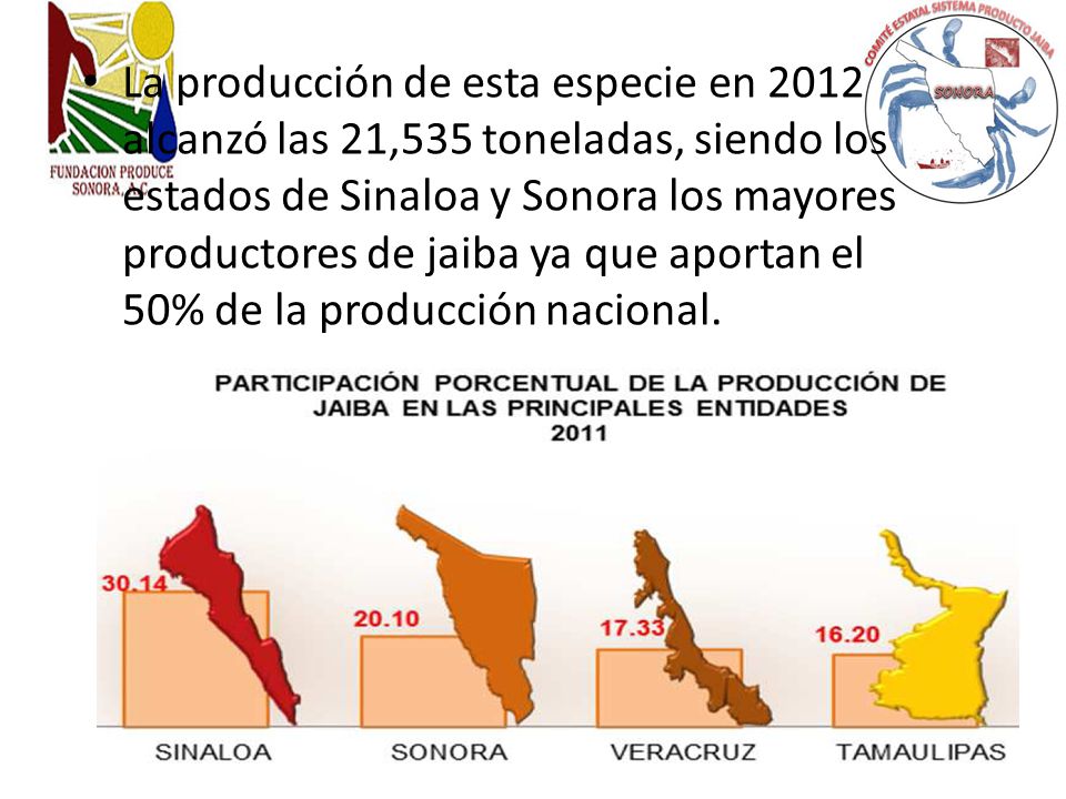 La producción de esta especie en 2012 alcanzó las 21,535 toneladas, siendo los estados de Sinaloa y Sonora los mayores productores de jaiba ya que aportan el 50% de la producción nacional.