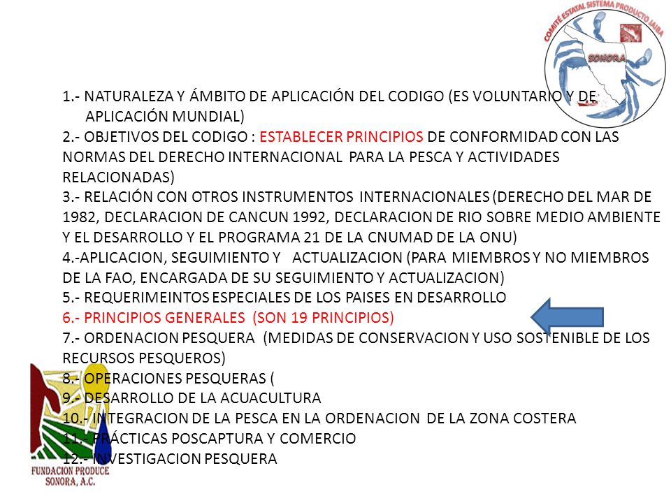 1.- NATURALEZA Y ÁMBITO DE APLICACIÓN DEL CODIGO (ES VOLUNTARIO Y DE