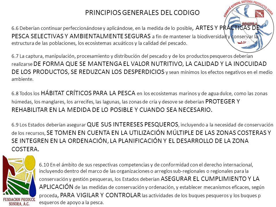 PRINCIPIOS GENERALES DEL CODIGO