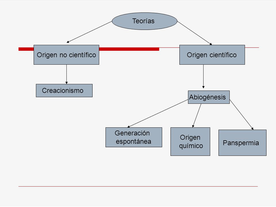 Teorías Origen no científico. Origen científico. Creacionismo. Abiogénesis. Generación. espontánea.