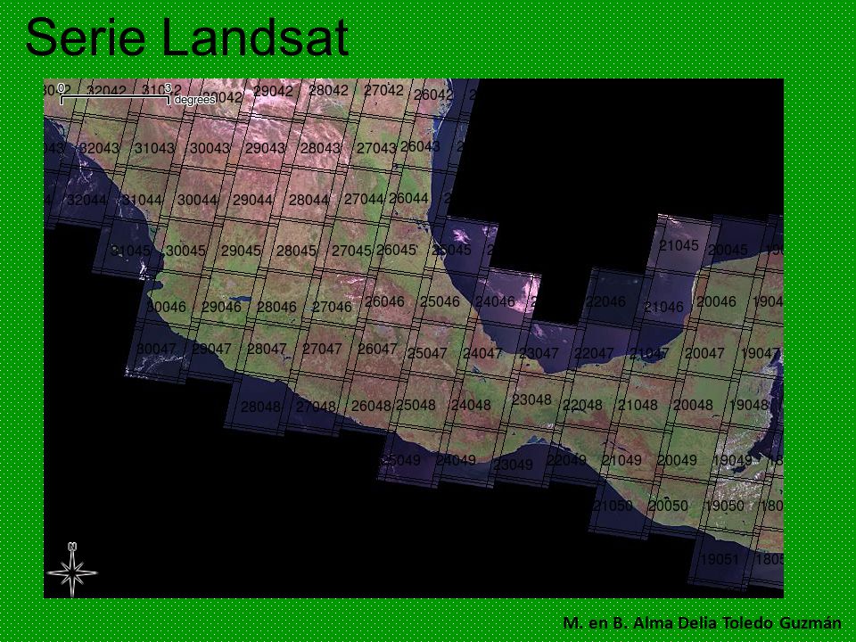 Serie Landsat M. en B. Alma Delia Toledo Guzmán
