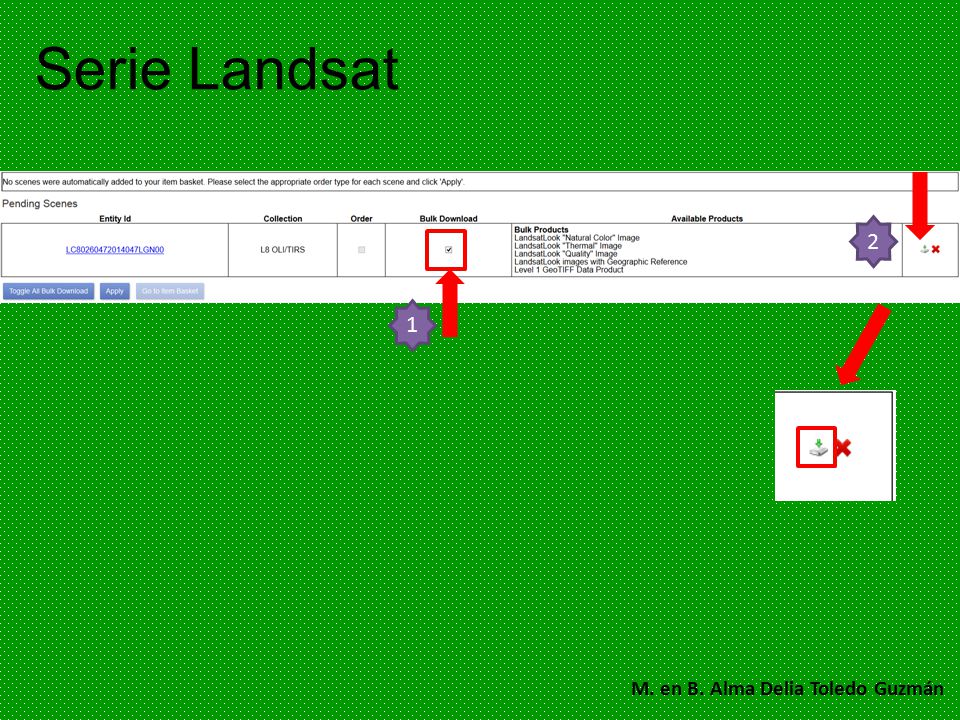 Serie Landsat 1 2 M. en B. Alma Delia Toledo Guzmán