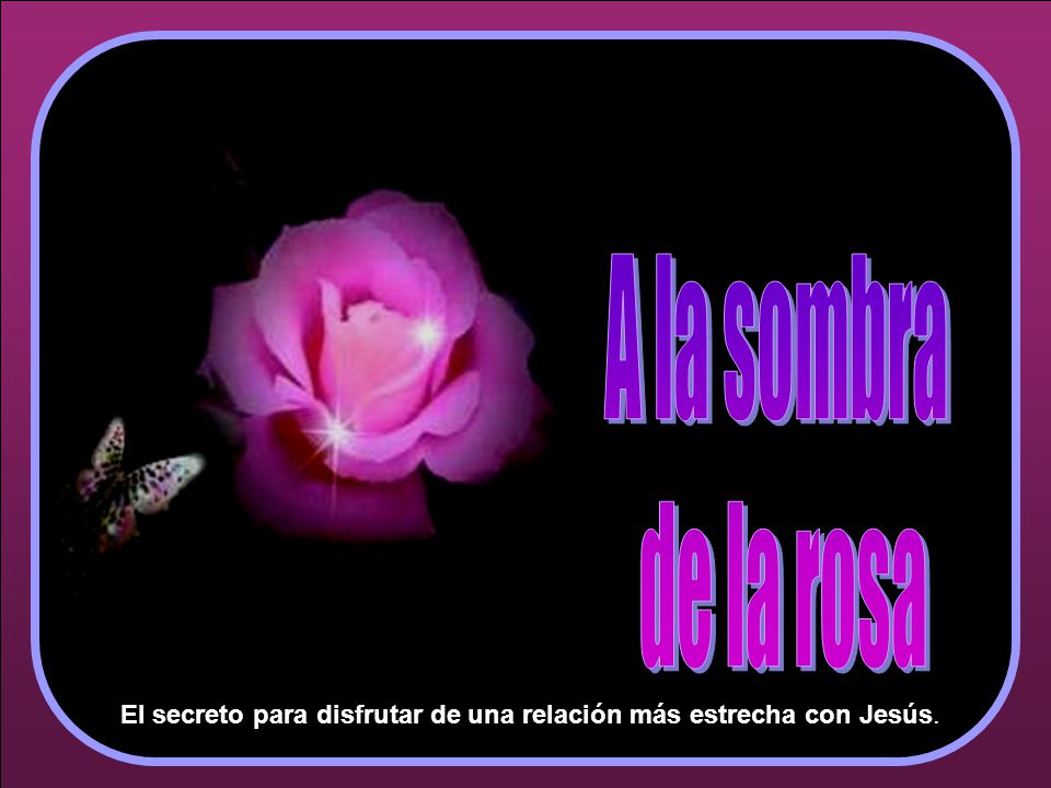 El secreto para disfrutar de una relación más estrecha con Jesús.