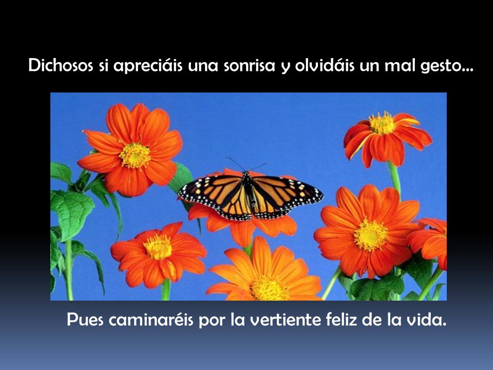 Dichosos si apreciáis una sonrisa y olvidáis un mal gesto…