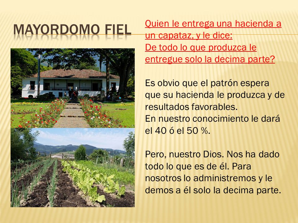 Mayordomo fiel Quien le entrega una hacienda a un capataz, y le dice: