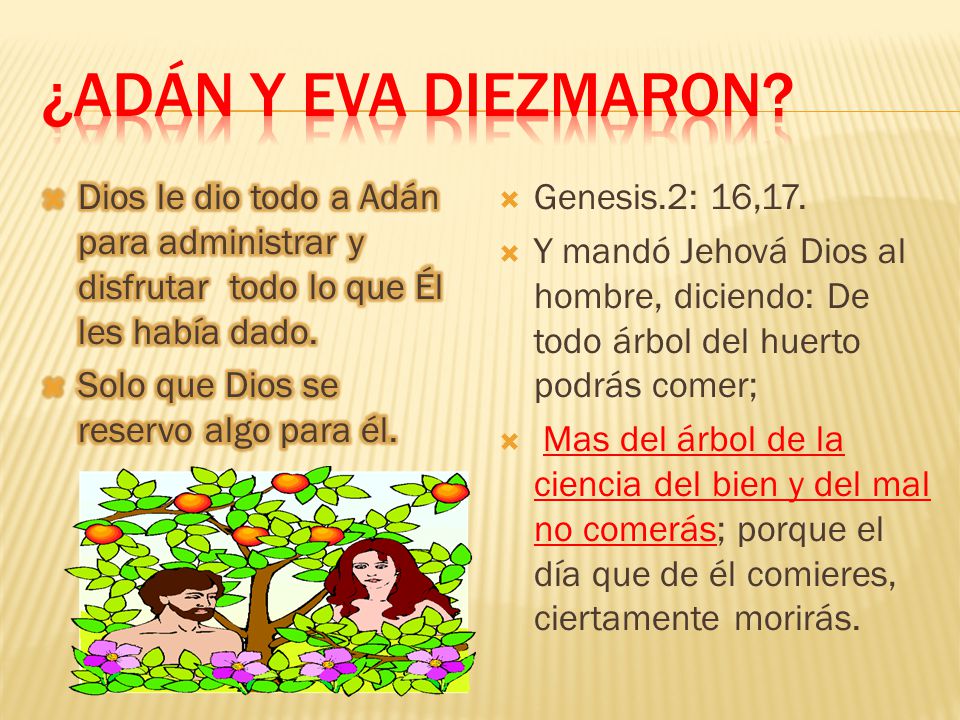 ¿Adán y Eva diezmaron Dios le dio todo a Adán para administrar y disfrutar todo lo que Él les había dado.