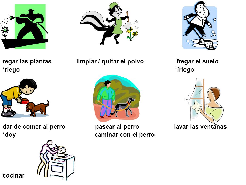 regar las plantas limpiar / quitar el polvo fregar el suelo