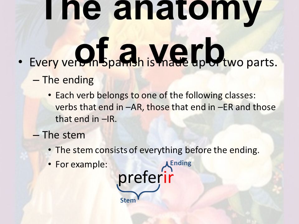 The anatomy of a verb preferir