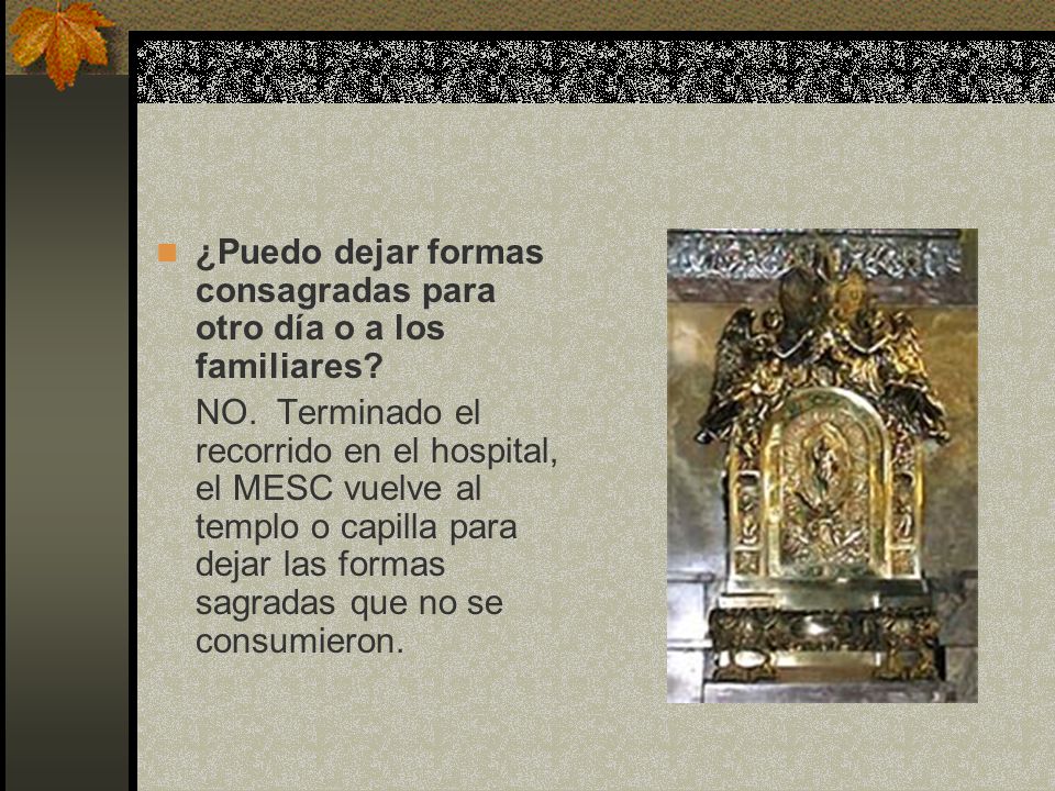 ¿Puedo dejar formas consagradas para otro día o a los familiares