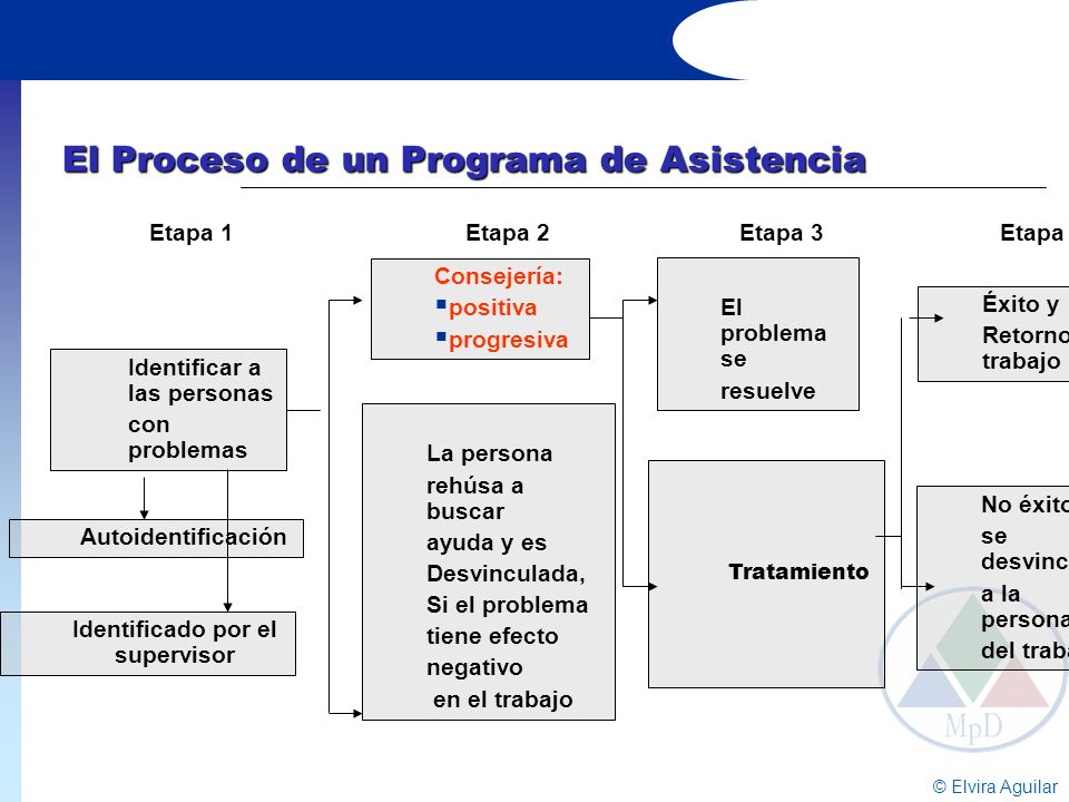 El Proceso de un Programa de Asistencia