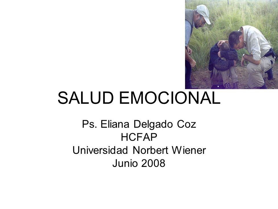 Ps. Eliana Delgado Coz HCFAP Universidad Norbert Wiener Junio 2008