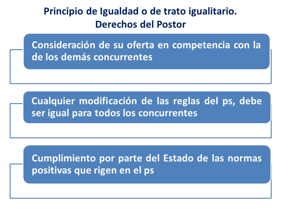 Principio de Igualdad o de trato igualitario. Derechos del Postor