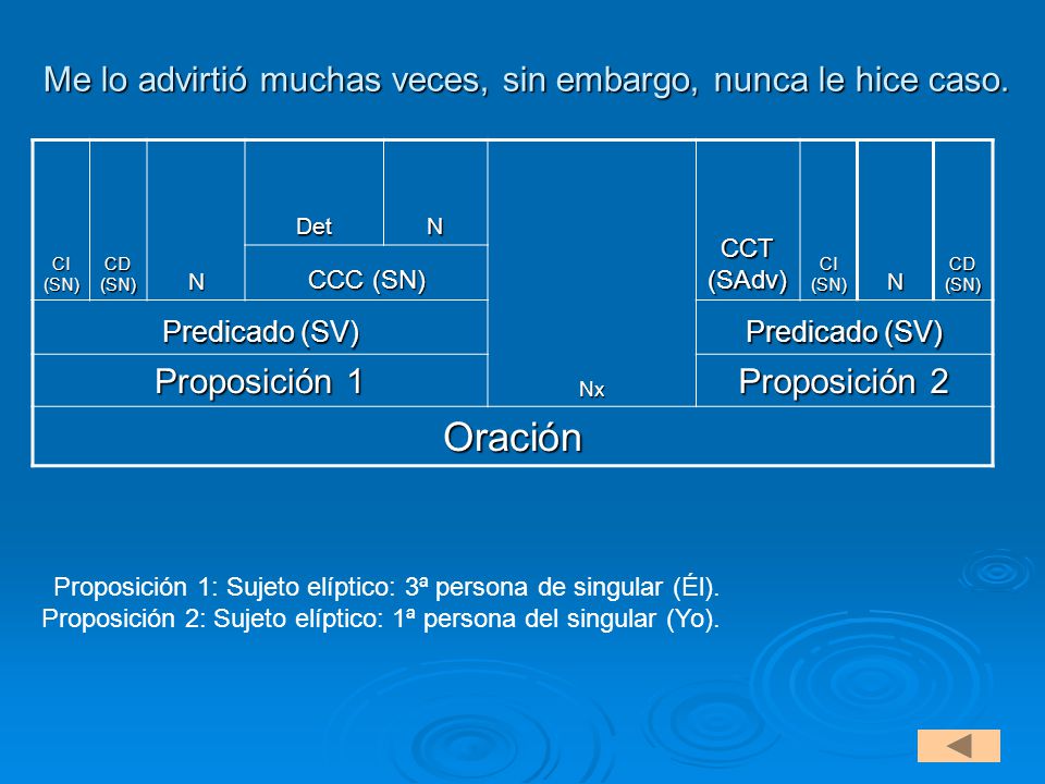 Me lo advirtió muchas veces, sin embargo, nunca le hice caso.