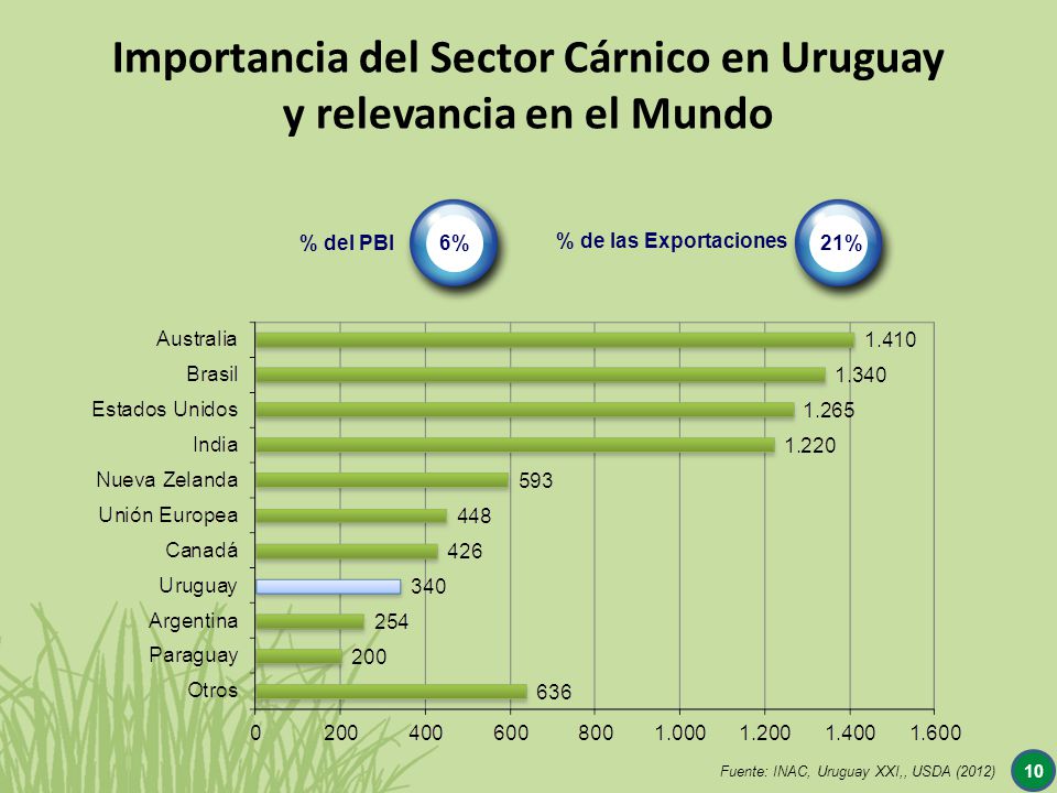 Importancia del Sector Cárnico en Uruguay y relevancia en el Mundo