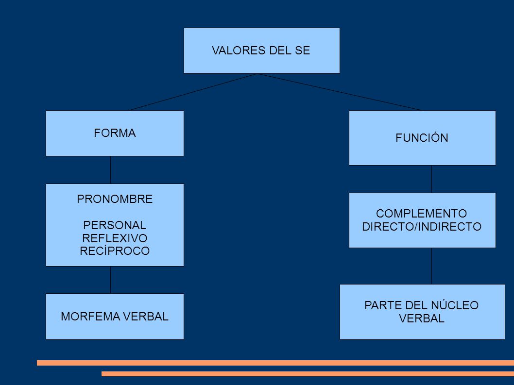 PARTE DEL NÚCLEO VERBAL