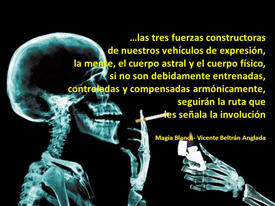 …las tres fuerzas constructoras de nuestros vehículos de expresión,