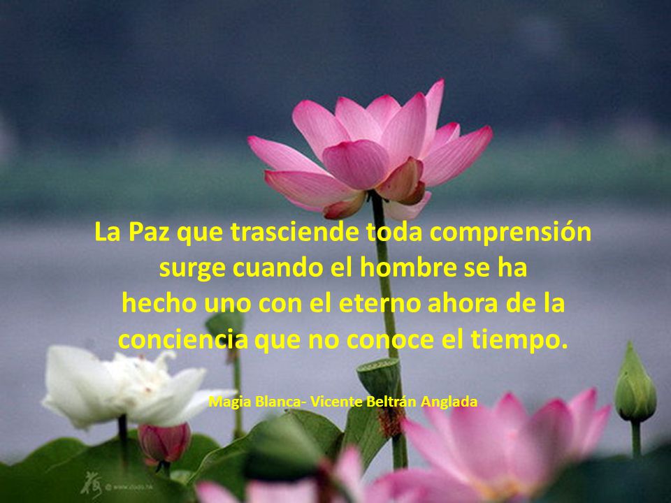 La Paz que trasciende toda comprensión surge cuando el hombre se ha