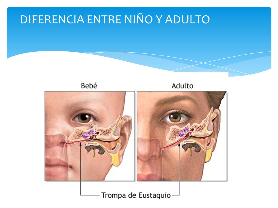 DIFERENCIA ENTRE NIÑO Y ADULTO