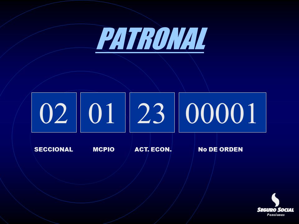PATRONAL 02 SECCIONAL 01 MCPIO 23 ACT. ECON No DE ORDEN