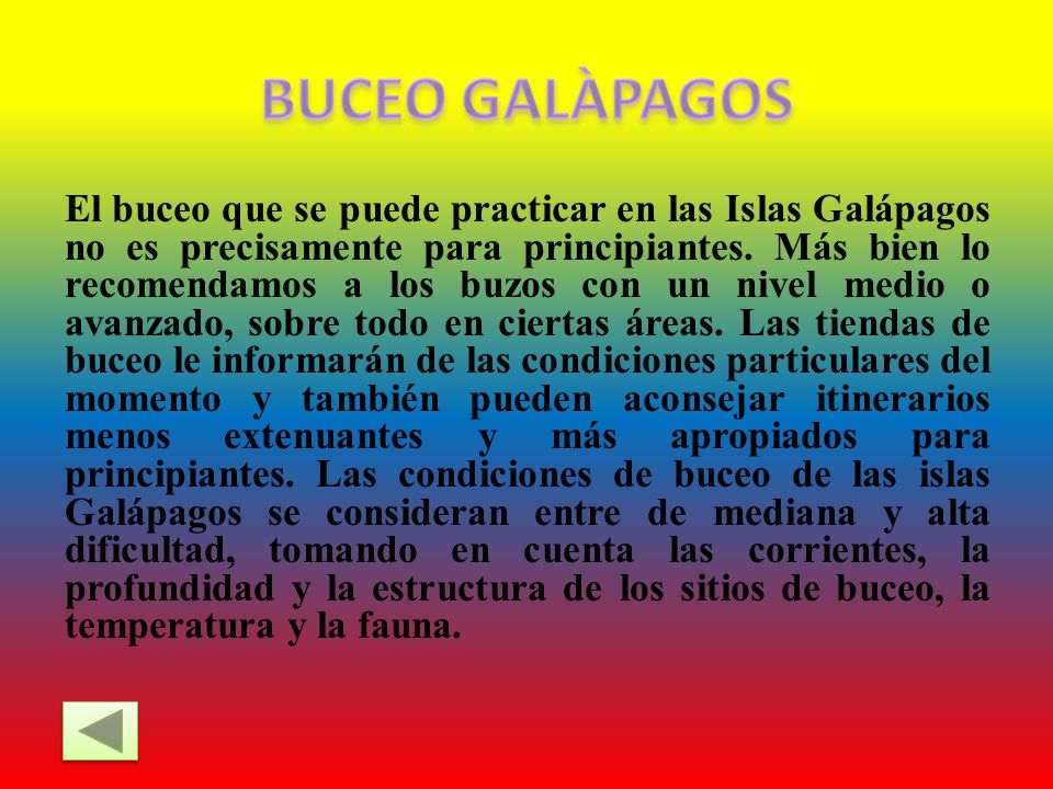 BUCEO GALÀPAGOS