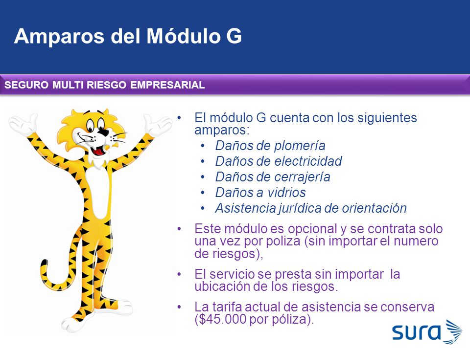 Amparos del Módulo G El módulo G cuenta con los siguientes amparos: