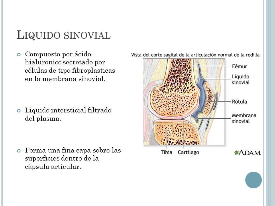 Liquido sinovial Compuesto por ácido hialuronico secretado por células de tipo fibroplasticas en la membrana sinovial.