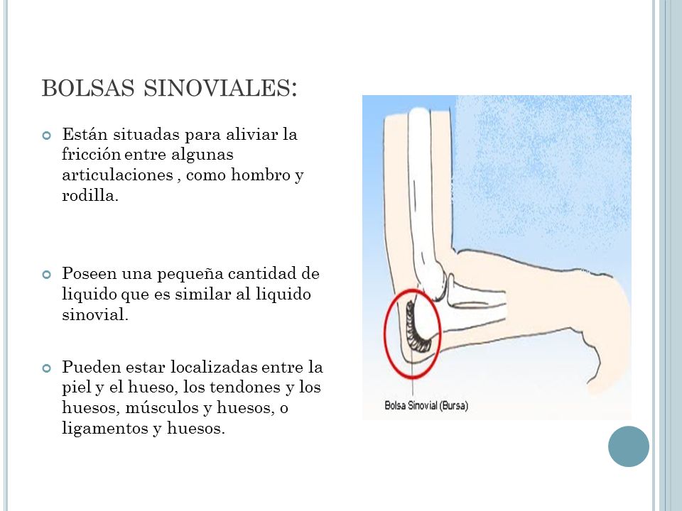 bolsas sinoviales: Están situadas para aliviar la fricción entre algunas articulaciones , como hombro y rodilla.