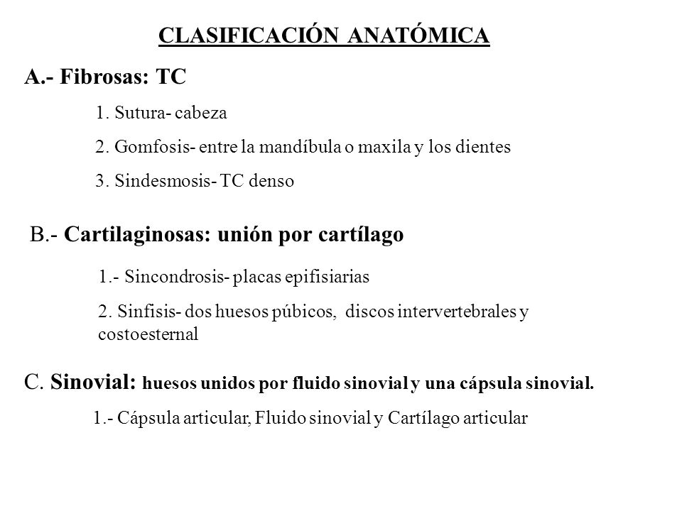CLASIFICACIÓN ANATÓMICA