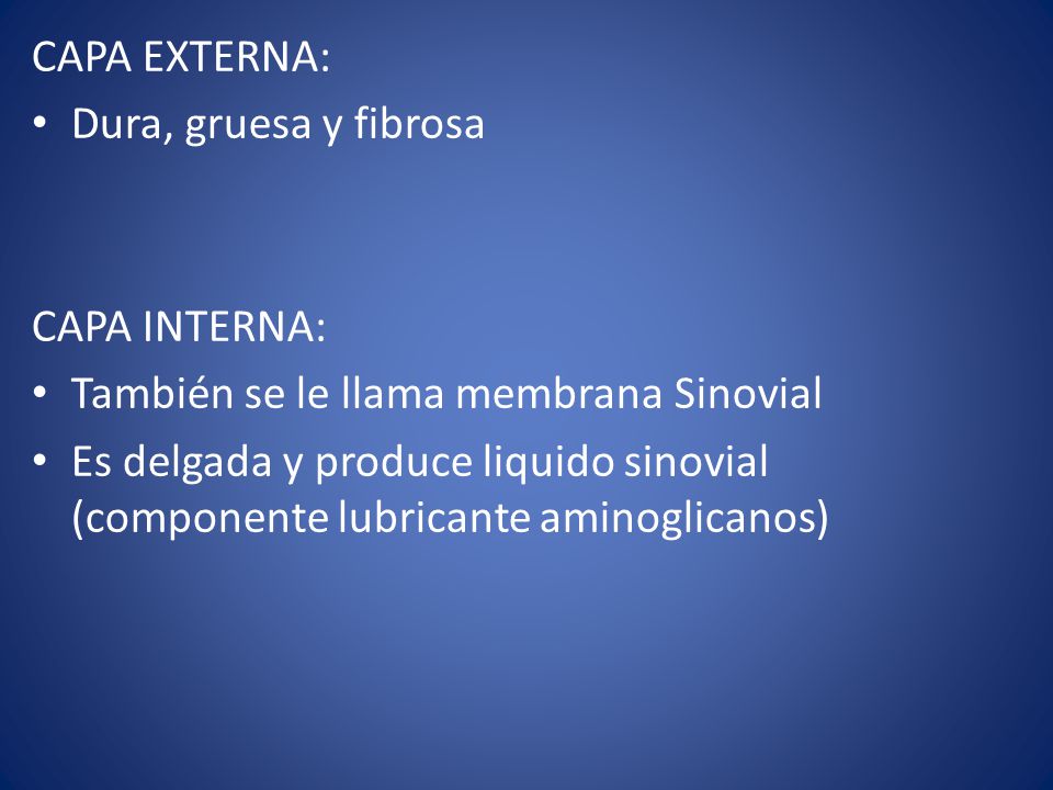 CAPA EXTERNA: Dura, gruesa y fibrosa. CAPA INTERNA: También se le llama membrana Sinovial.