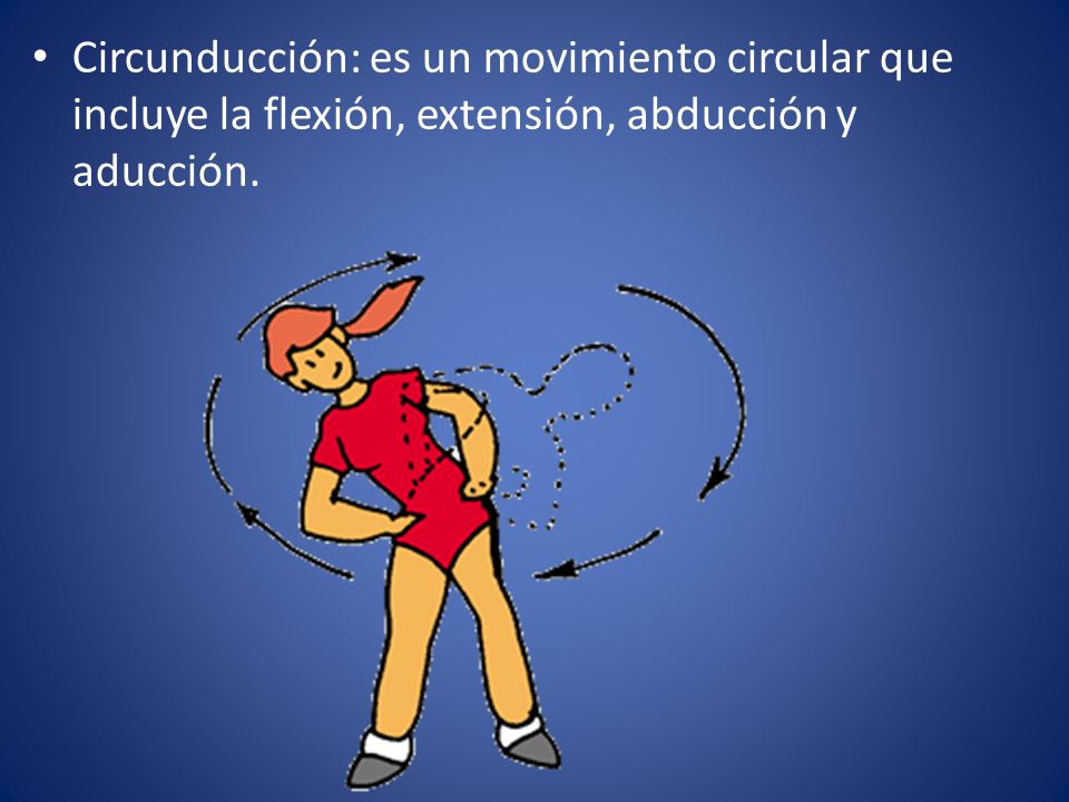 Circunducción: es un movimiento circular que incluye la flexión, extensión, abducción y aducción.