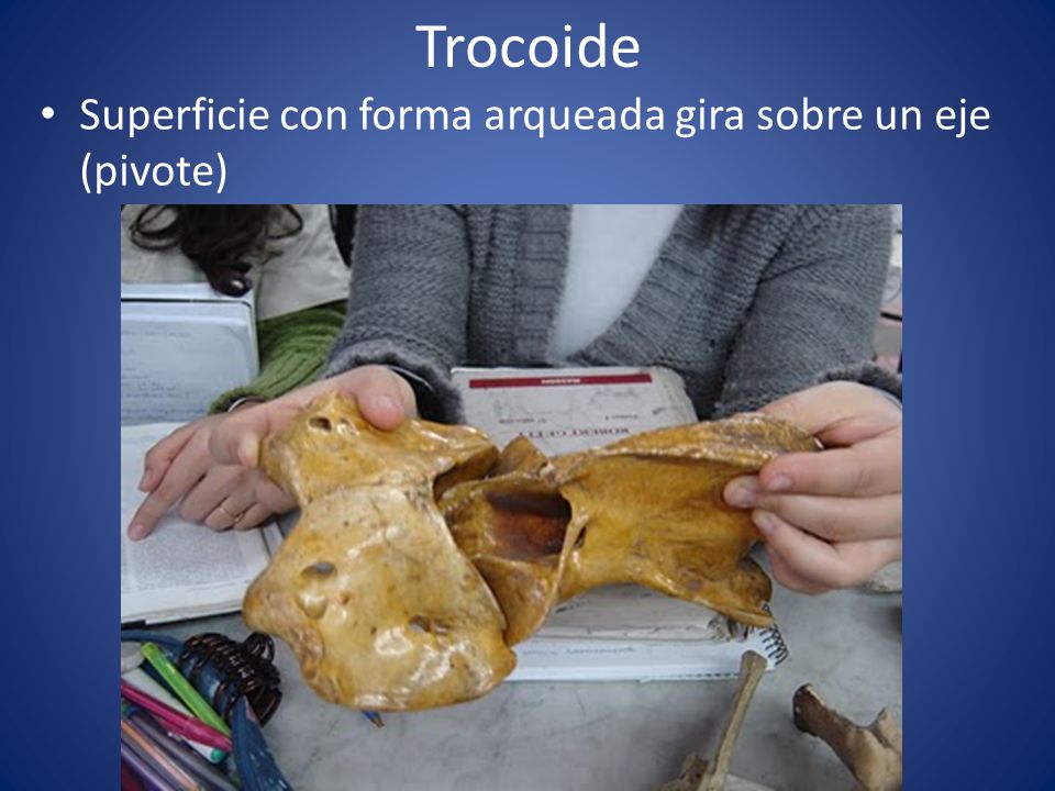 Trocoide Superficie con forma arqueada gira sobre un eje (pivote)
