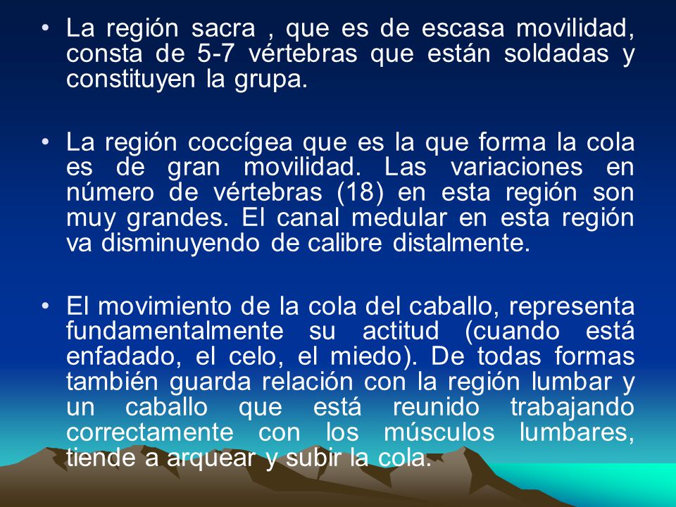 La región sacra , que es de escasa movilidad, consta de 5-7 vértebras que están soldadas y constituyen la grupa.