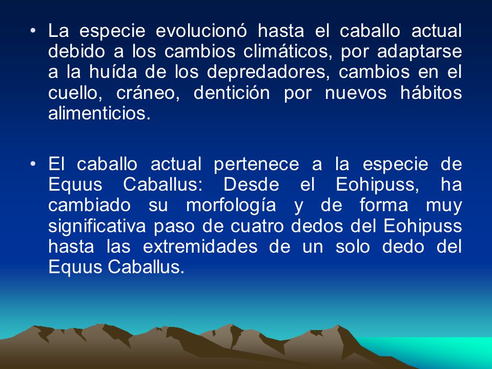 La especie evolucionó hasta el caballo actual debido a los cambios climáticos, por adaptarse a la huída de los depredadores, cambios en el cuello, cráneo, dentición por nuevos hábitos alimenticios.
