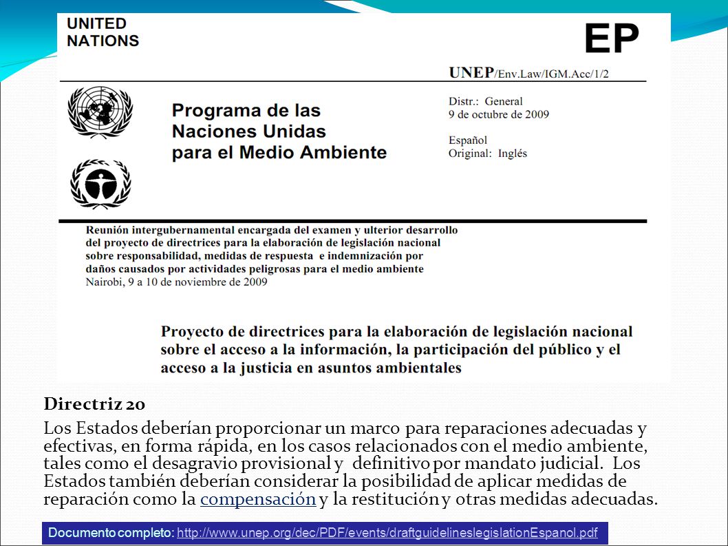 Directriz 20 Los Estados deberían proporcionar un marco para reparaciones adecuadas y efectivas, en forma rápida, en los casos relacionados con el medio ambiente, tales como el desagravio provisional y definitivo por mandato judicial. Los Estados también deberían considerar la posibilidad de aplicar medidas de reparación como la compensación y la restitución y otras medidas adecuadas.