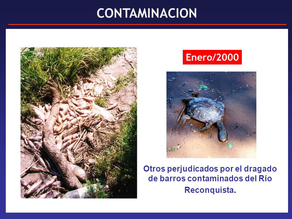 Otros perjudicados por el dragado de barros contaminados del Río
