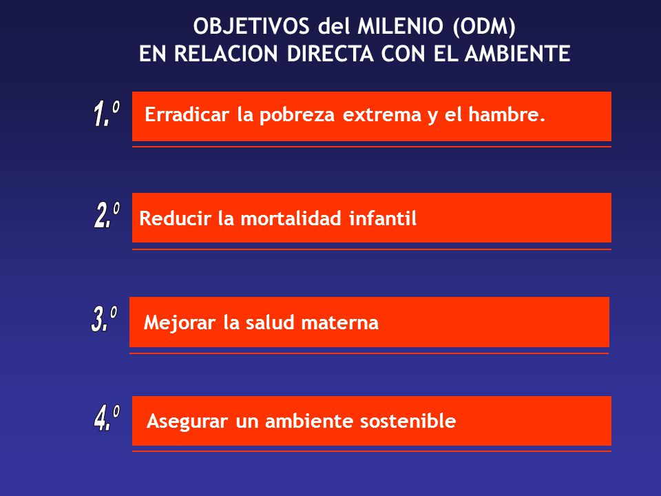 OBJETIVOS del MILENIO (ODM) EN RELACION DIRECTA CON EL AMBIENTE