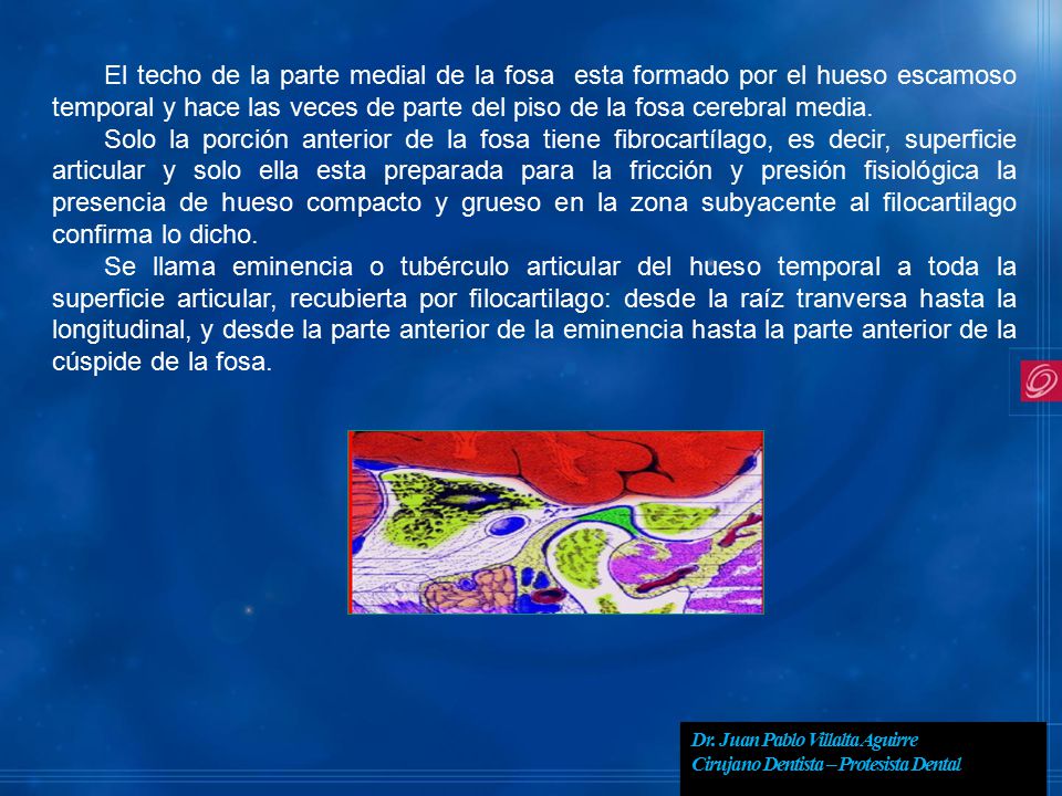 El techo de la parte medial de la fosa esta formado por el hueso escamoso temporal y hace las veces de parte del piso de la fosa cerebral media.
