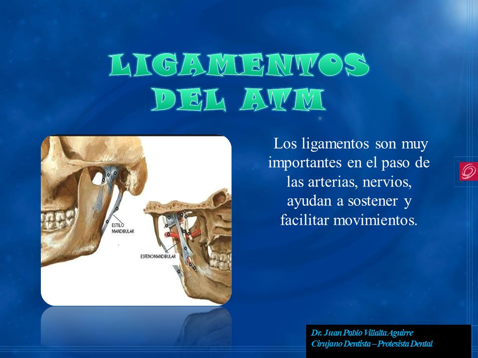 LIGAMENTOS DEL ATM. Los ligamentos son muy importantes en el paso de las arterias, nervios, ayudan a sostener y facilitar movimientos.