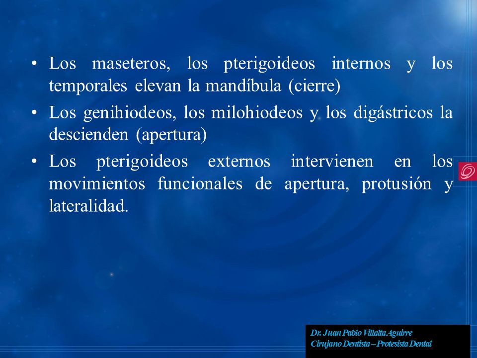 Los maseteros, los pterigoideos internos y los temporales elevan la mandíbula (cierre)